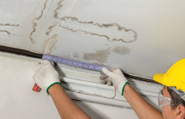 Reliable Basement Water Removal contractor in Saint Jo, TX by Water Damage Irwin